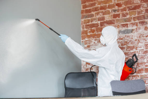 Best Crawl Space Mold Remediation  in Sans Souci, SC