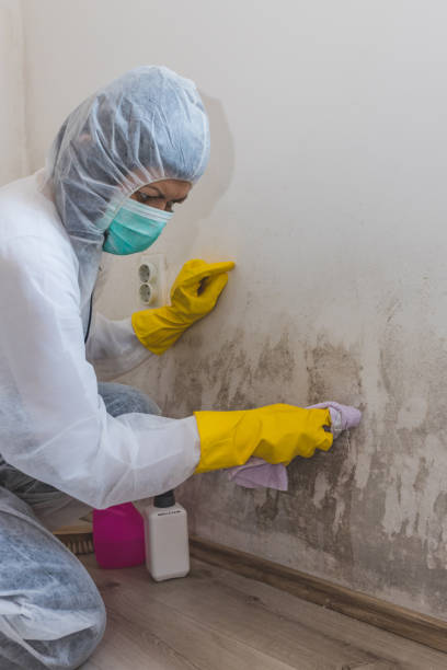 Best Indoor Air Quality Assessment  in Sans Souci, SC