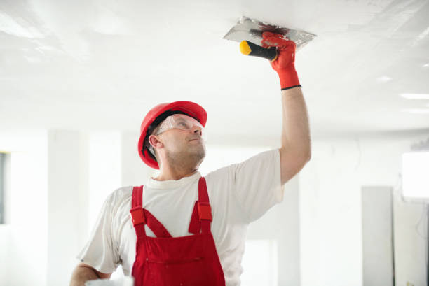 Best Mold Remediation for Healthcare Facilities  in Sans Souci, SC