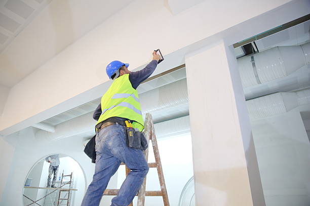 Reliable Sans Souci, SC Mold Removal Solutions