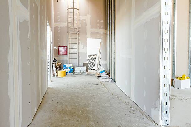Best Post-Construction Mold Inspection  in Sans Souci, SC