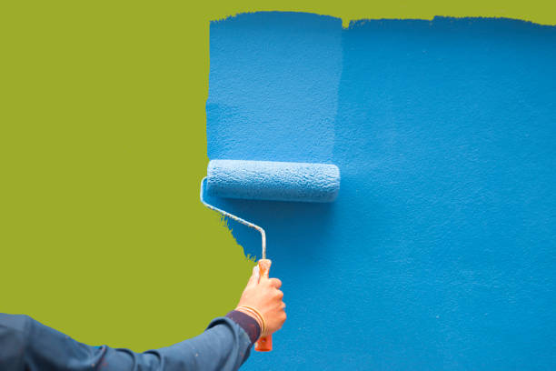 Best Residential Mold Inspection & Testing  in Sans Souci, SC